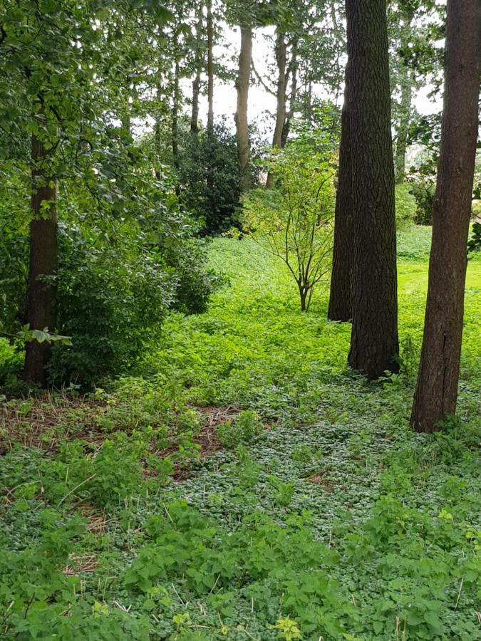 Westwood Cottage ดันดี ภายนอก รูปภาพ